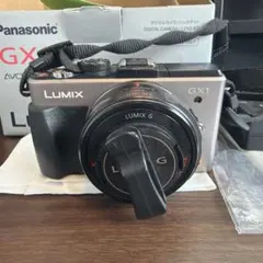 2026年最新】lumix gx1の人気アイテム - メルカリ
