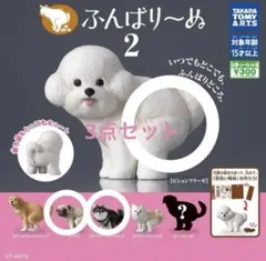 ふんばり〜ぬ2 ビションフリーゼ パグ チワワ(ブラックタン)