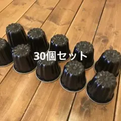 Item thumbnail for item 34e3f31e-295a-46a6-86b6-5e87b6d7c0ea