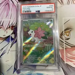 シェイミ ar 20枚 シェイミ ar 20枚