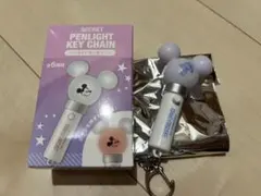 ディズニーストア シークレットペンライトキーチェーン ドナルド