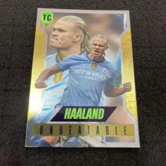 PANINI Top Class Erling Haaland 262