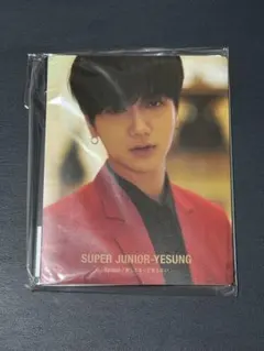 SUPER JUNIOR イェソン トレーディングカードフォルダー