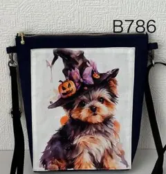 Item thumbnail for item 8ac9e498-53b4-4099-b568-6f086f3b6d1b