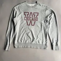 Champion トレーナー　Ｌ　グレー