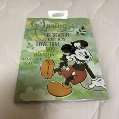 【未開封】Disney Store ミッキー＆チップとデール メモ帳のサムネイル