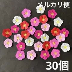 しばたろー様 リクエスト 2点 まとめ商品