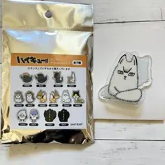 ハイキュー!! アクリルクリップ 北信介／角名倫太郎 未使用新品サンキューマート