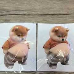柴犬おなかぷくぷくシール 3Dシール お腹ぷにぷにシール 2匹セット