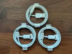 Lightningケーブル USB Type-C 3本セット Apple純正