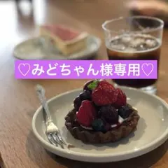 《みどちゃん様専用ページです》