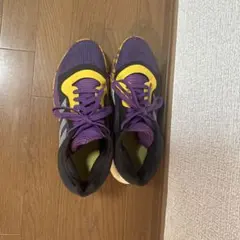 アンビション　ブラックパンサーコラボ　25.5 アンビション ブラックパンサーコラボ 25.5 - メルカリ