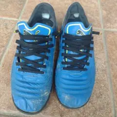 2026年最新】パラメヒコの人気アイテム - メルカリ