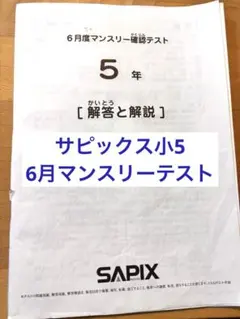 2026年最新】sapix 入室テストの人気アイテム - メルカリ