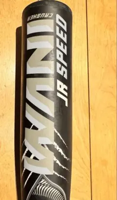 Item thumbnail for item 5144097e-d2d5-4ee4-a21a-a72181d1a7c2