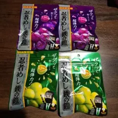 【＋おまけ付】忍者めし鉄の鎧 マスカット＆グレープセット