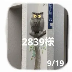 2839様