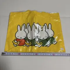 Item thumbnail for item 98e25680-b6a8-400b-9ecd-baf2bc741b1e