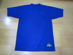 Item thumbnail for item 6aa829a3-d240-4d51-9f3a-e00df8a21332