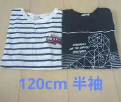 petitmain ブランシェス 半袖 トップス 120 まとめ売り