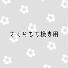 さくらもち様専用
