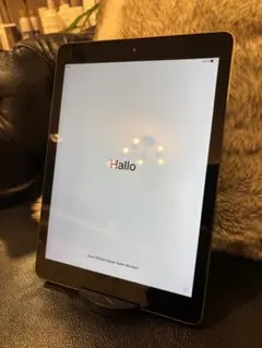 Apple iPad mini2 本体