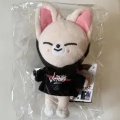 2026年最新】skzoo アイエン ミニの人気アイテム - メルカリ