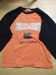 Item thumbnail for item 96fd7d4e-2c26-4e9b-b0b2-95089df72193