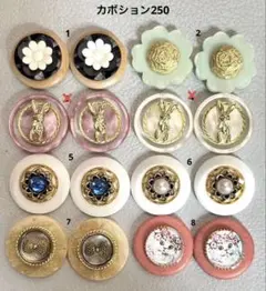 ボタンカボション250① 7/9