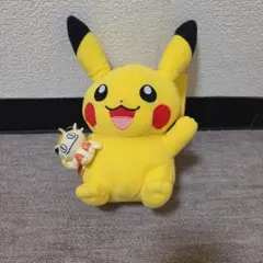 ポケモンセンター限定 ポンチョを着たピカチュウ メガデンリュウ