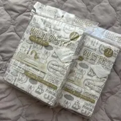 Item thumbnail for item beedbcb4-7f2c-4d07-a234-d612963727ae