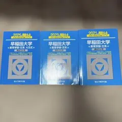早稲田大学 教育学部 文系 青本 2024〜2016年度分