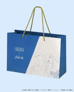 水濡れ、補強対策　ONE PIECE HEROINES × Salute バッグ