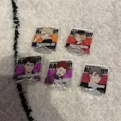 ハイキュー！！　アクリルスタンド5体セット