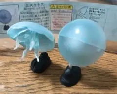 チョコエッグ　ミズクラゲ　２体セットのサムネイル