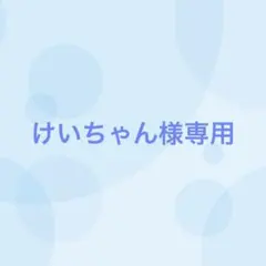 けいちゃん様専用（5/5まで出品）