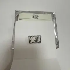 seventeen セブチ holiday ペンミ ピンズ ピンバッジ ホシ