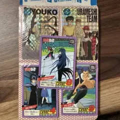 幽遊白書　トレーディングカード 5枚セット