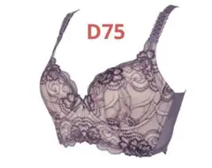 ナウクチュール　ブラジャー　D75