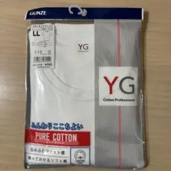 GUNZE YG Cotton Professional Tシャツ LL