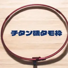 2025年最新】がまかつ たも枠の人気アイテム - メルカリ