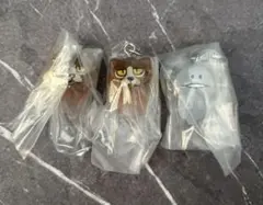 なめこ ガチャガチャ