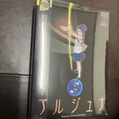 地球少女アルジュナ Director's Edition DVD-BOX 未開封