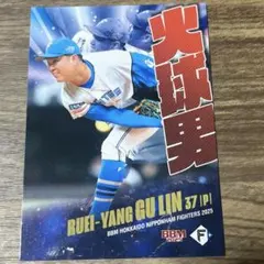 古林睿煬　ファイターズBBMカード　限定10枚　treasureカード 古林睿煬 ファイターズBBMカード 限定10枚 treasureカード