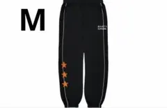 Item thumbnail for item 7c31a5a7-d5cc-4aed-b4d7-906d8311c20f