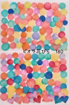 ビオラ花びら押し花　180