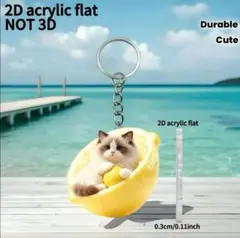 レモンと ラグドール　キーホルダー　キーリング　猫　ネコ　ねこ　アクリル