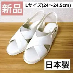 Item thumbnail for item 581a7b37-f250-4dd7-a5bb-118c173225c9