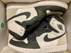 NIKE AIR JORDAN1RETRO HI OGブリーチドコーラル27.0