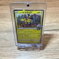 シブヤのピカチュウ：ポケモンセンターシブヤ オープン記念 PROMO S-Pプロ